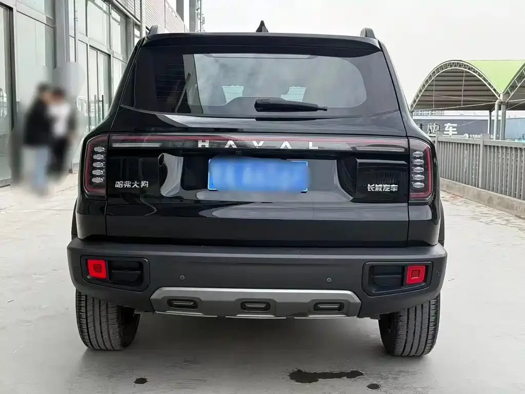Haval Big Dog 2024 из CN, фото 3