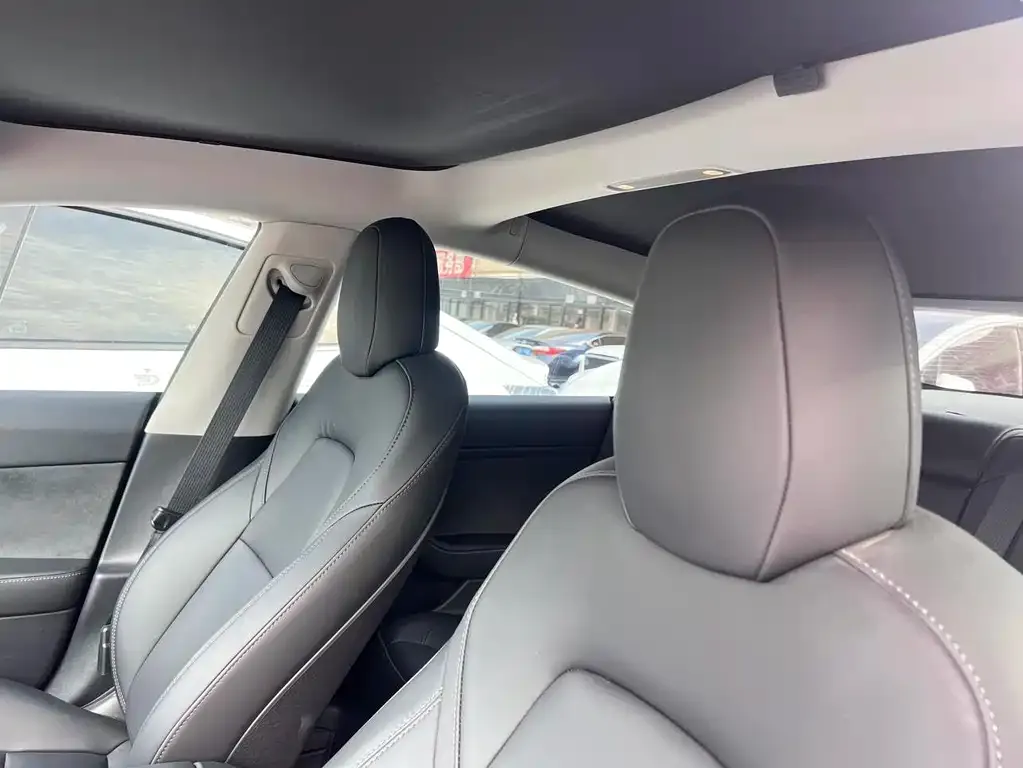 Tesla Model 3 2023 из CN, фото 2