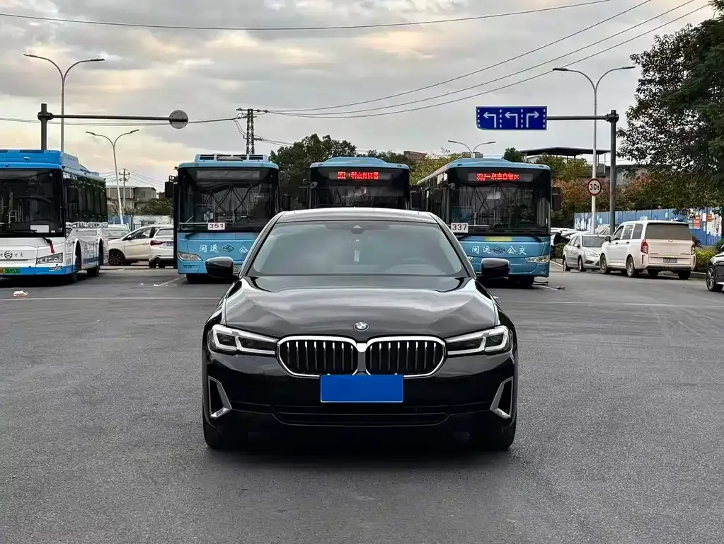 BMW 5 Series 2021 из CN, фото 5