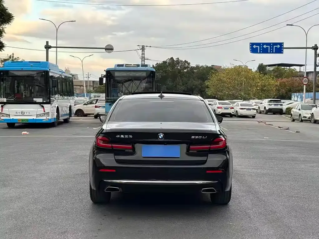 BMW 5 Series 2021 из CN, фото 6