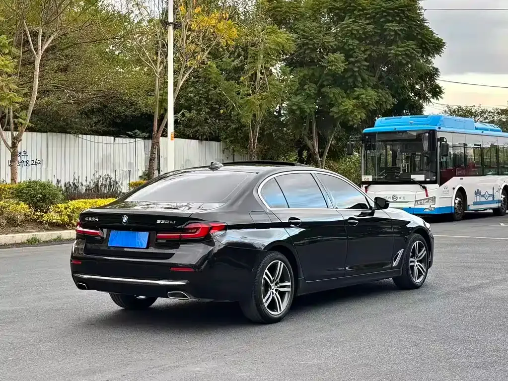 BMW 5 Series 2021 из CN, фото 8