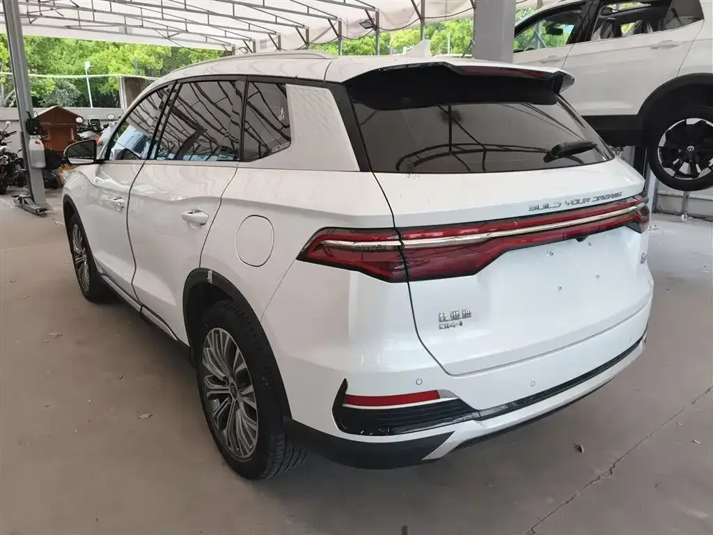 BYD Pro New Energy — фото 5