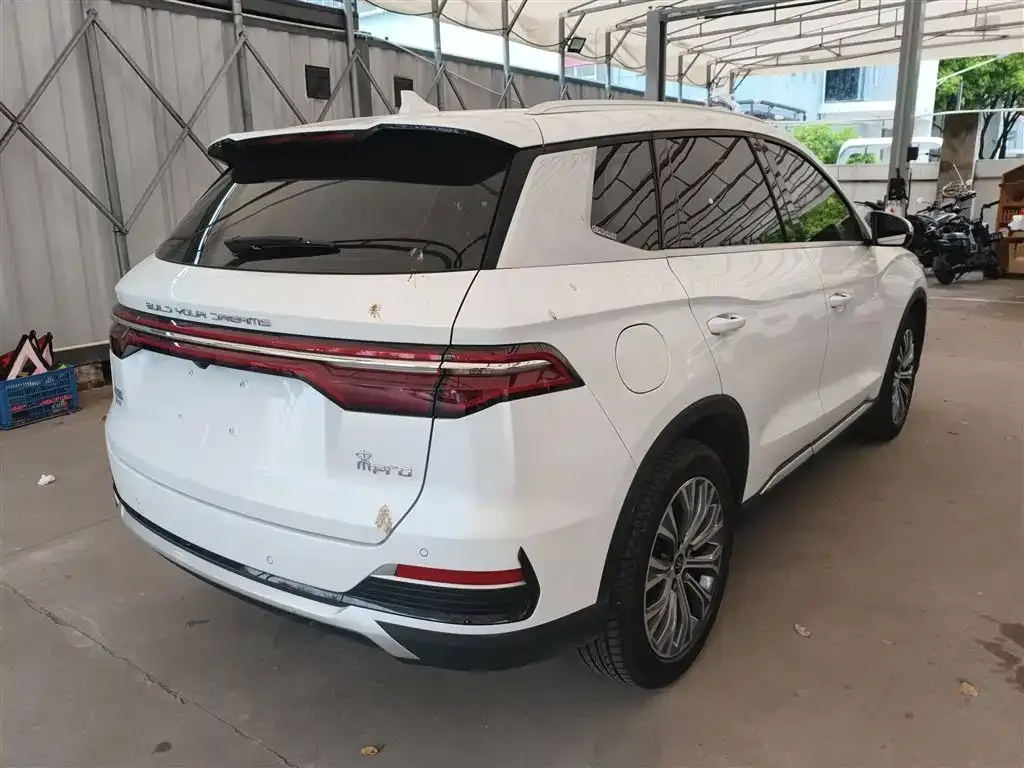 BYD Pro New Energy — фото 7