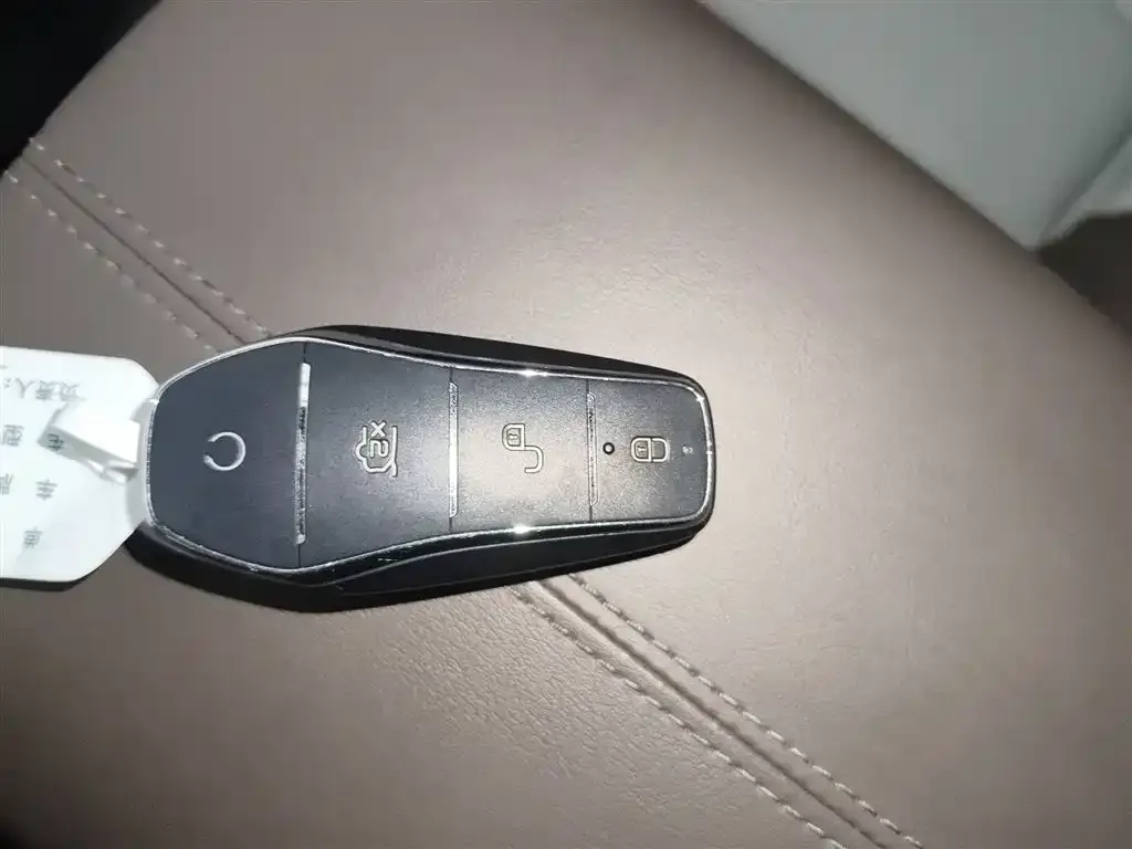 BYD Pro New Energy — фото 2