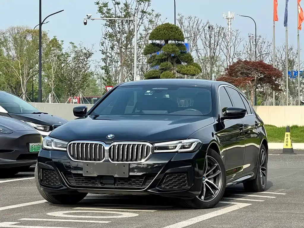 BMW 5 Series New Energy