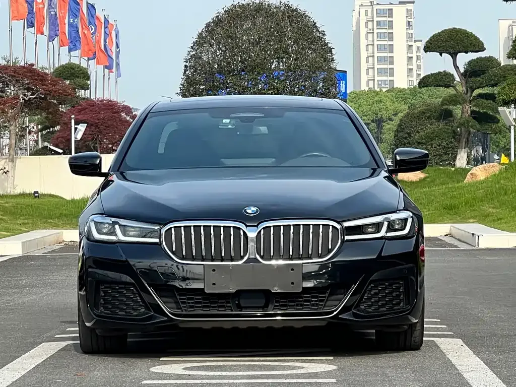 BMW 5 Series New Energy 2021 из CN, фото 7