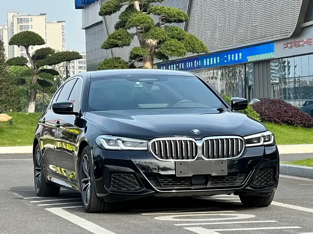 BMW 5 Series New Energy 2021 из CN, фото 8