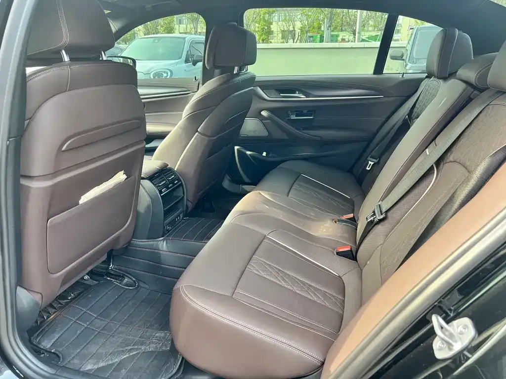 BMW 5 Series New Energy 2021 из CN, фото 3