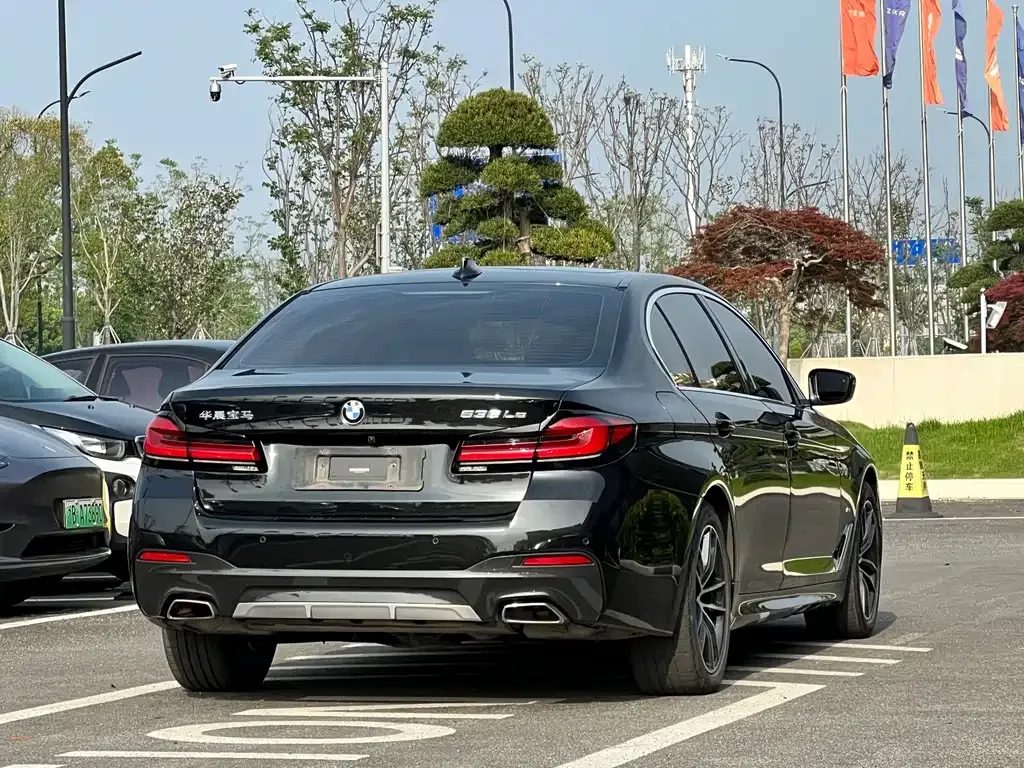 BMW 5 Series New Energy 2021 из CN, фото 6
