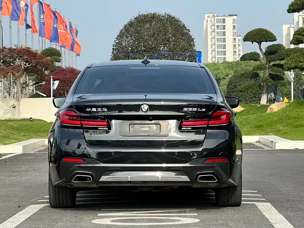 BMW 5 Series New Energy 2021 из CN, фото 5