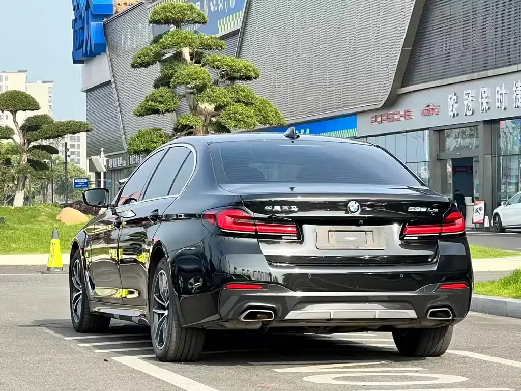 BMW 5 Series New Energy 2021 из CN, фото 9