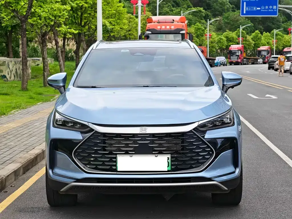 BYD Tang New Energy 2024 из CN, фото 2