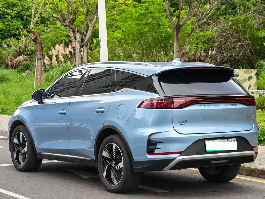 BYD Tang New Energy 2024 из CN, фото 7
