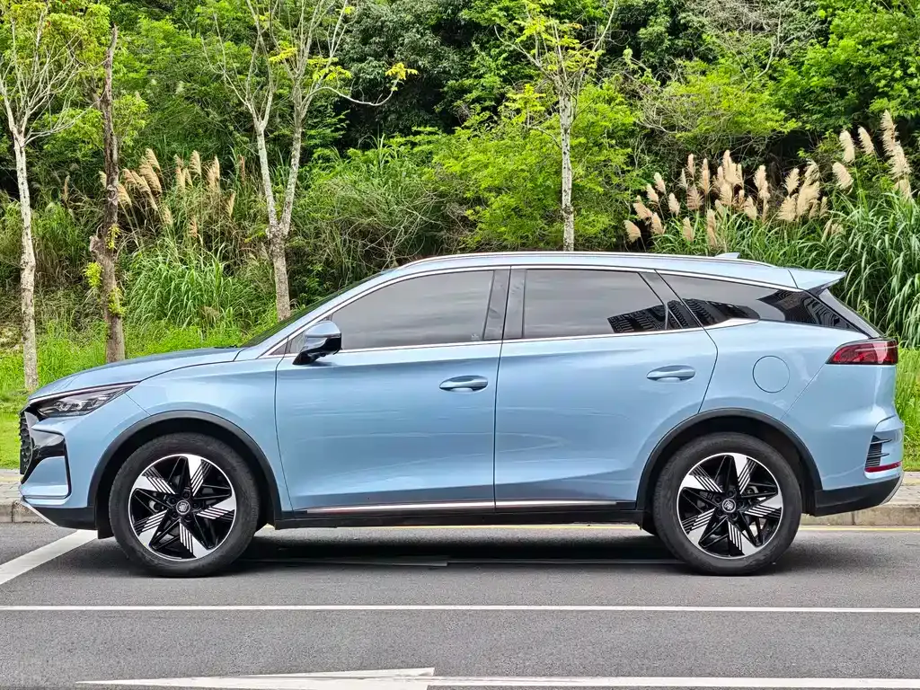 BYD Tang New Energy 2024 из CN, фото 10