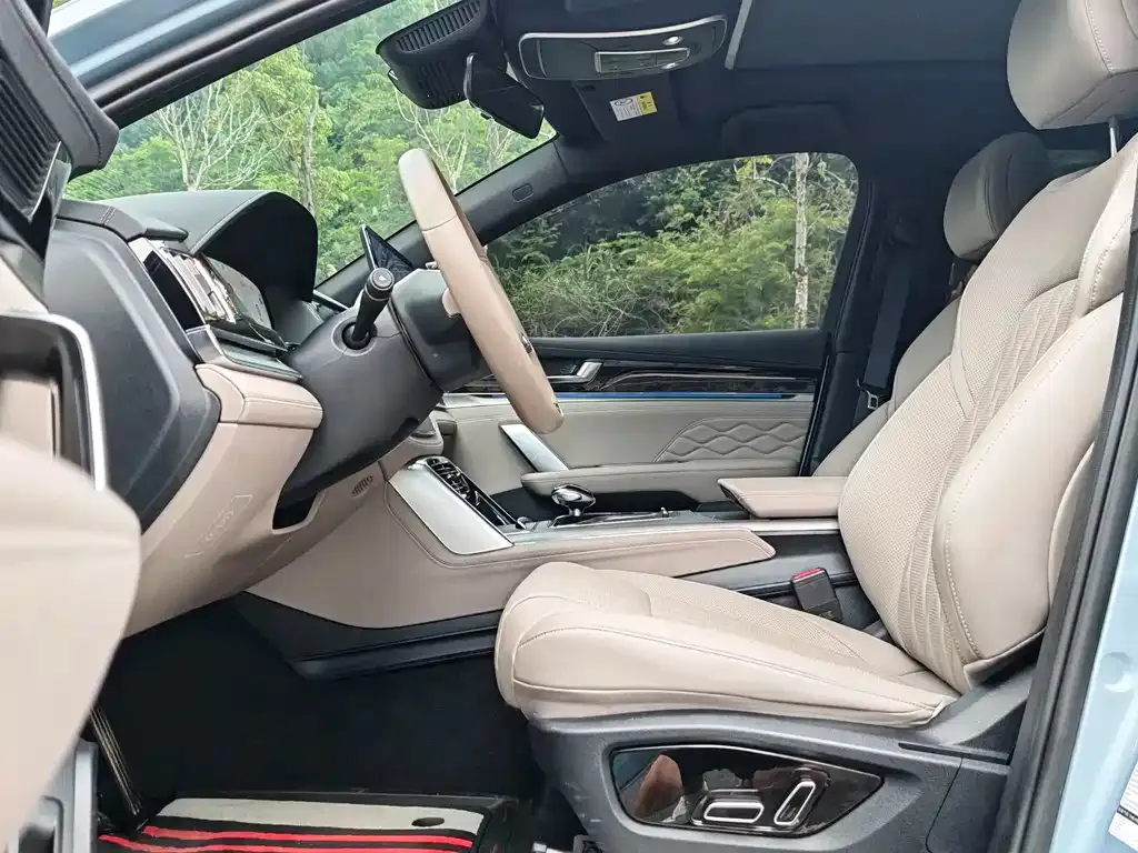 BYD Tang New Energy 2024 из CN, фото 9