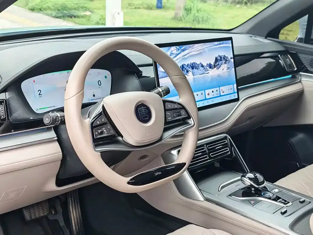 BYD Tang New Energy 2024 из CN, фото 4