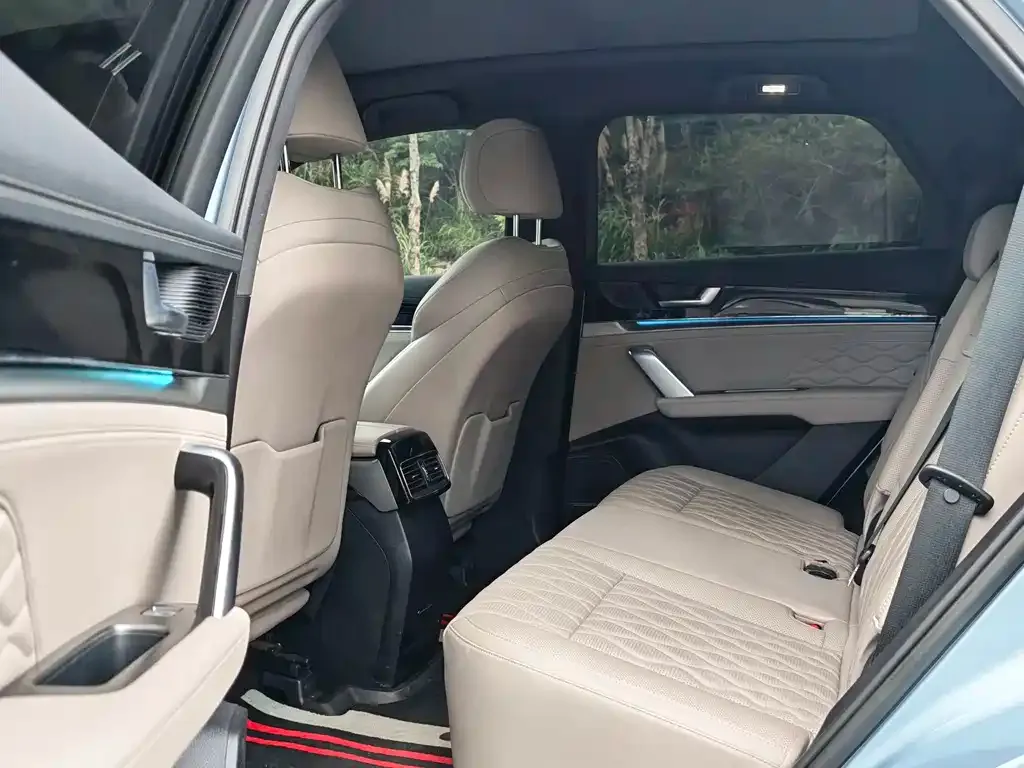 BYD Tang New Energy 2024 из CN, фото 3