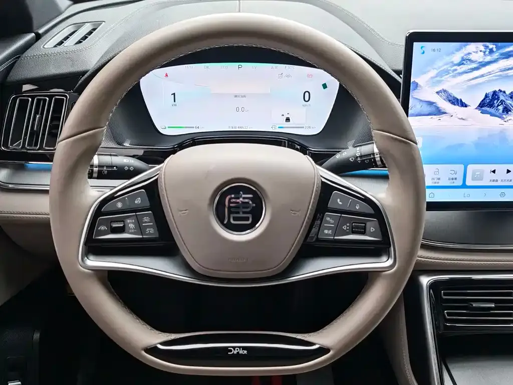 BYD Tang New Energy 2024 из CN, фото 6