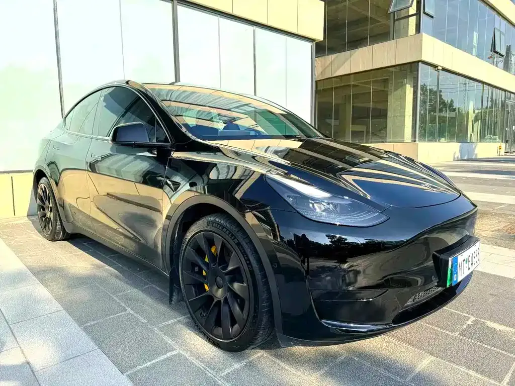 Tesla Model Y — фото 9