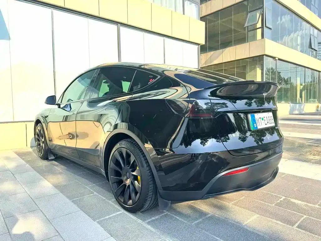 Tesla Model Y — фото 10