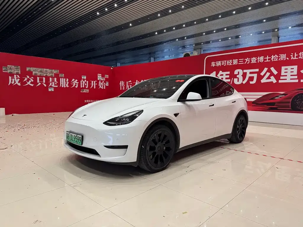 Tesla Model Y — фото 1