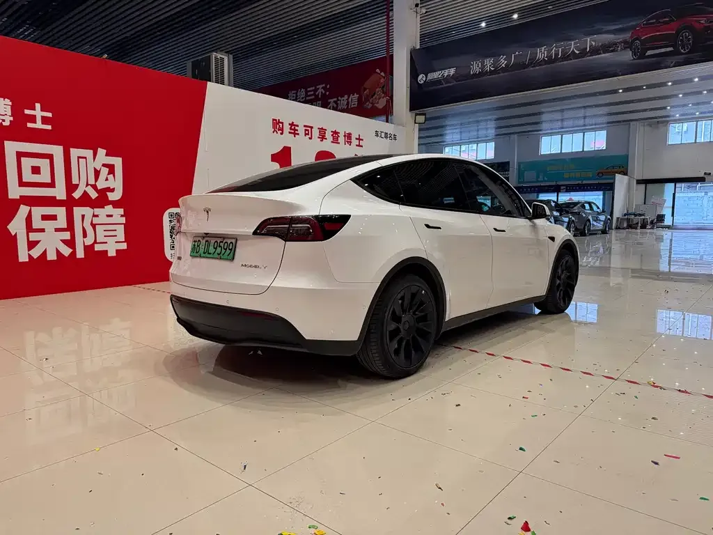 Tesla Model Y — фото 6
