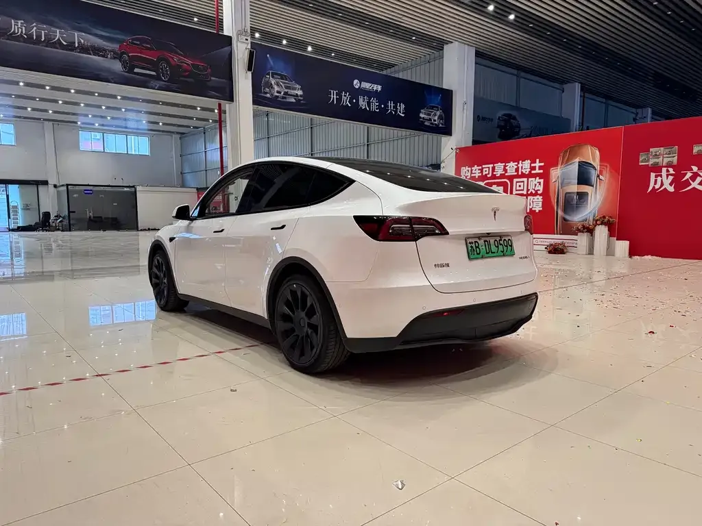 Tesla Model Y — фото 8