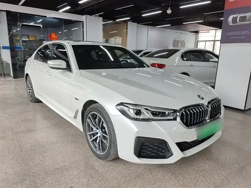BMW 5 Series New Energy — фото 10