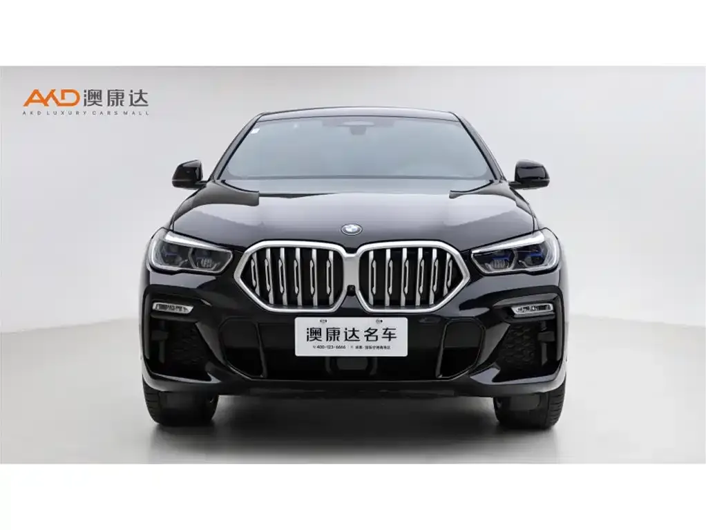 BMW X6 2021 из CN, фото 6