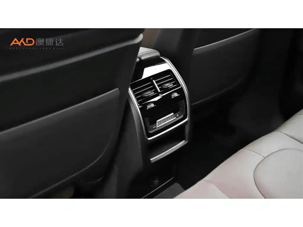 BMW X6 2021 из CN, фото 4