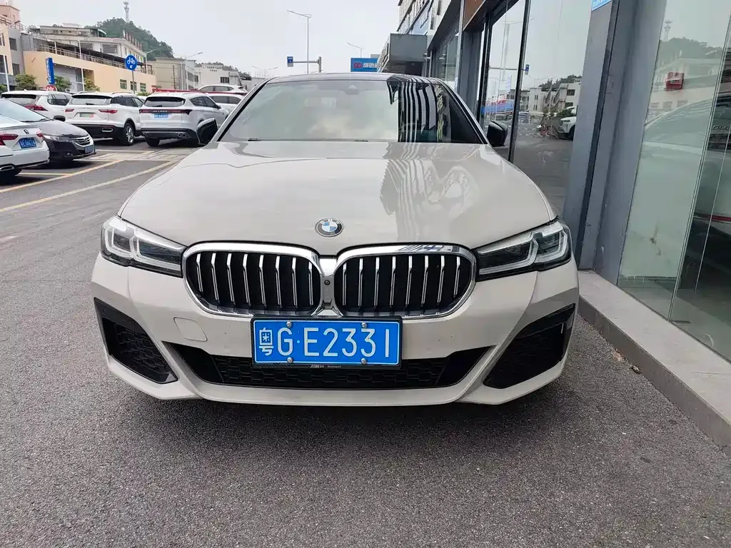 BMW 5 Series 2021 из CN, фото 10
