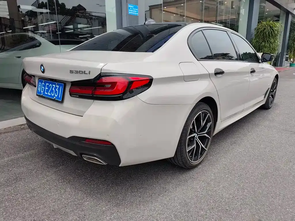 BMW 5 Series 2021 из CN, фото 9