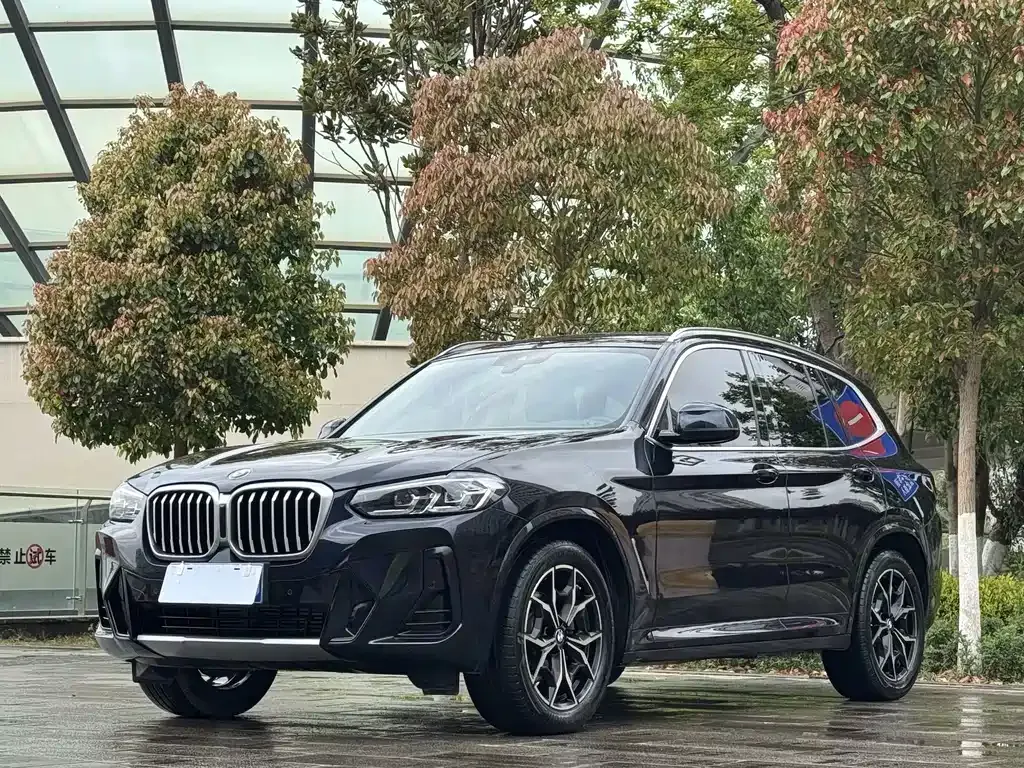 BMW X3 — фото 1