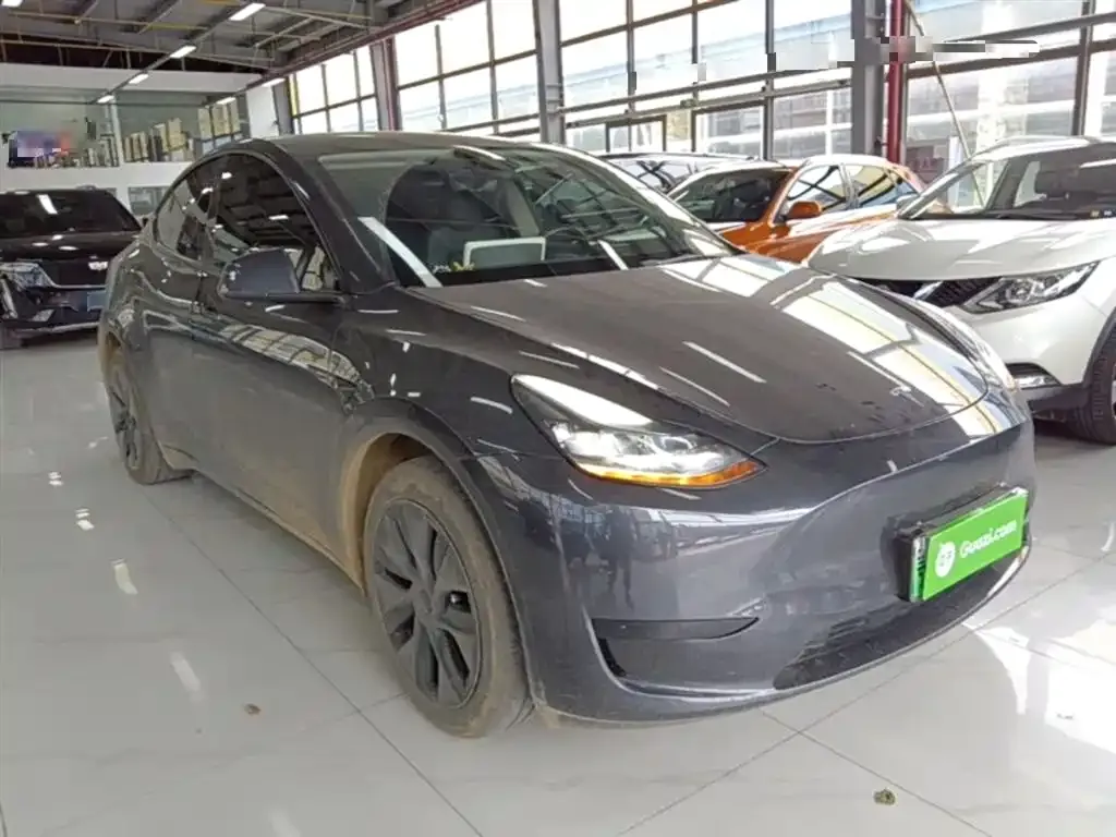 Tesla Model Y — фото 10