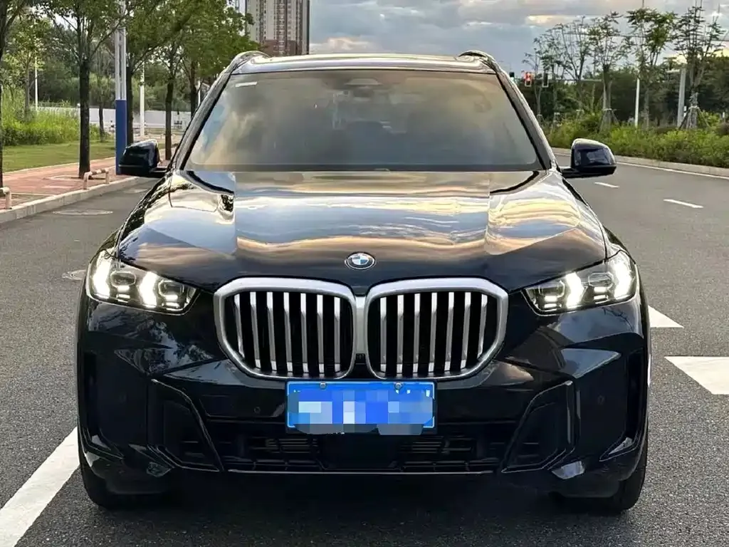 BMW X5 — фото 9