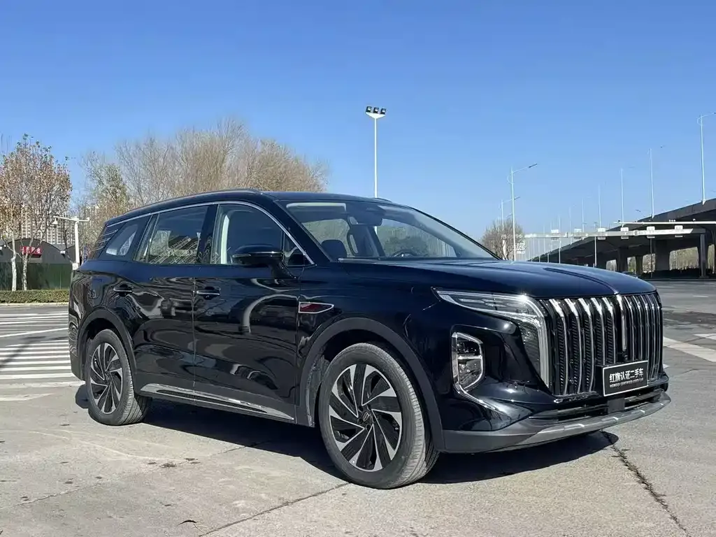Hongqi HS7 PHEV 2024 из CN, фото 9