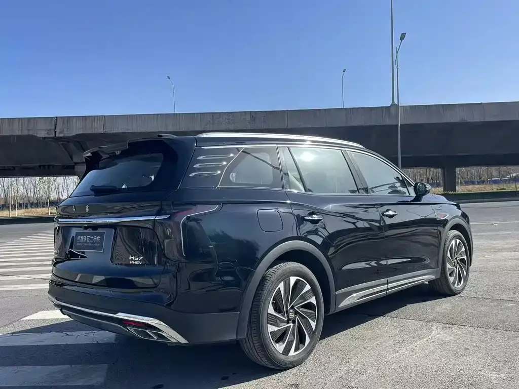 Hongqi HS7 PHEV 2024 из CN, фото 6
