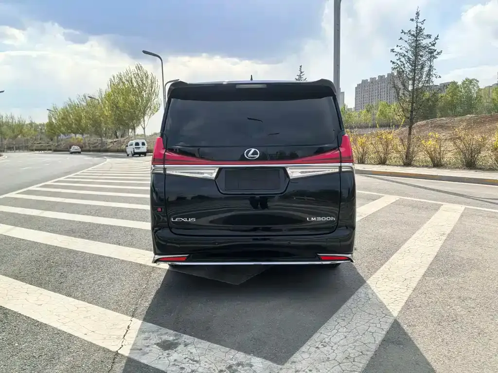Lexus LM 2021 из CN, фото 9