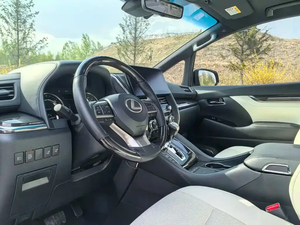 Lexus LM 2021 из CN, фото 2