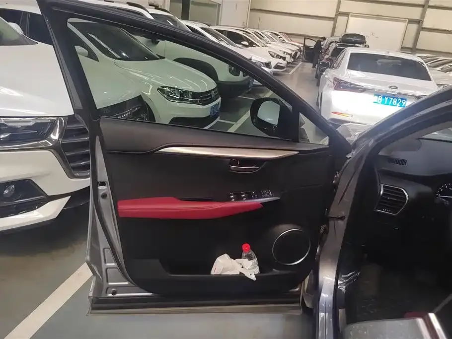 Lexus NX 2021 из CN, фото 10