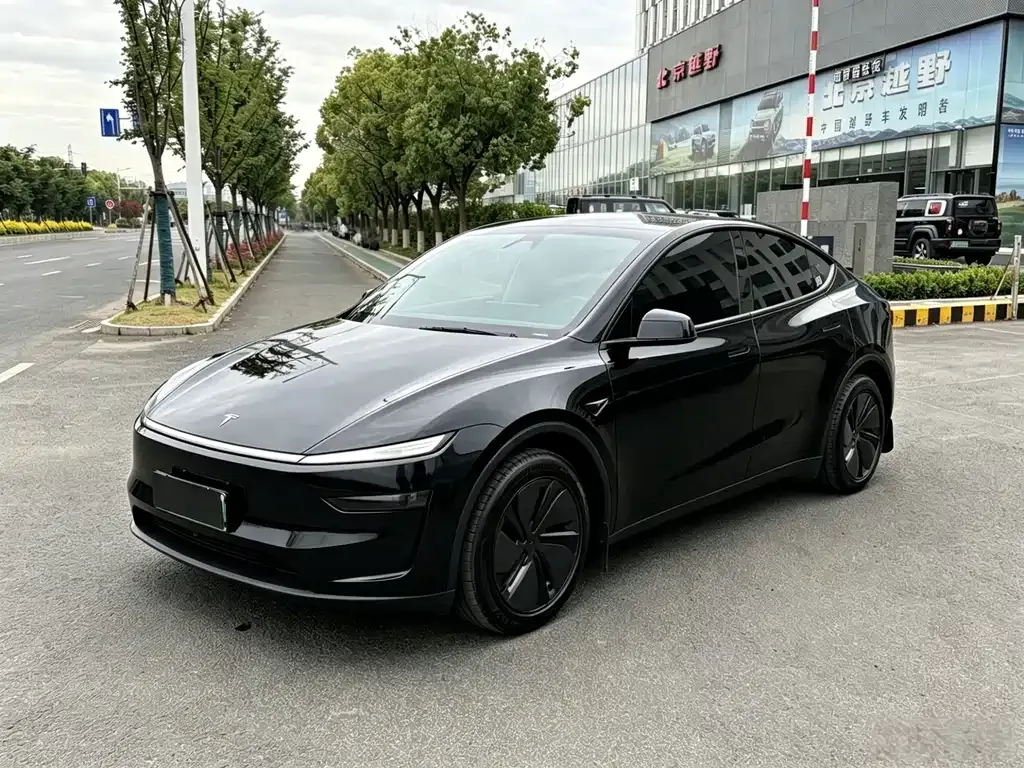 Tesla Model Y — фото 1