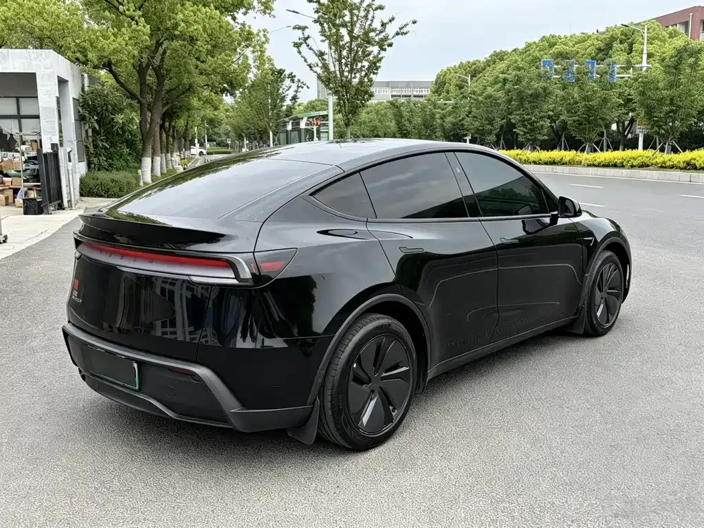 Tesla Model Y — фото 5
