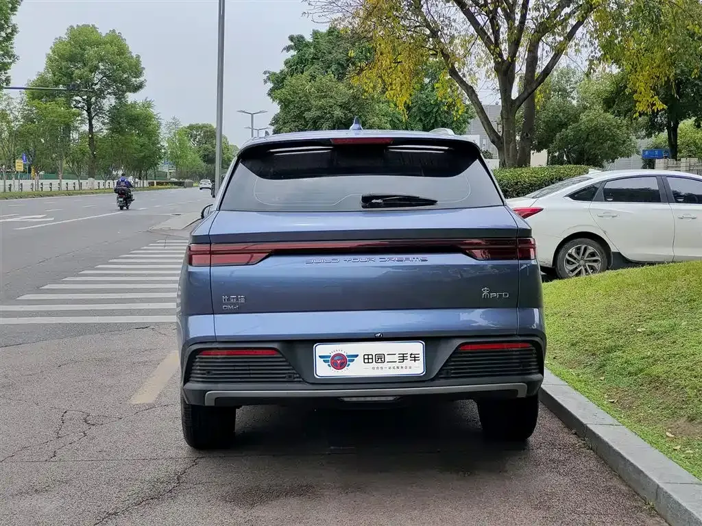 BYD Pro New Energy — фото 9