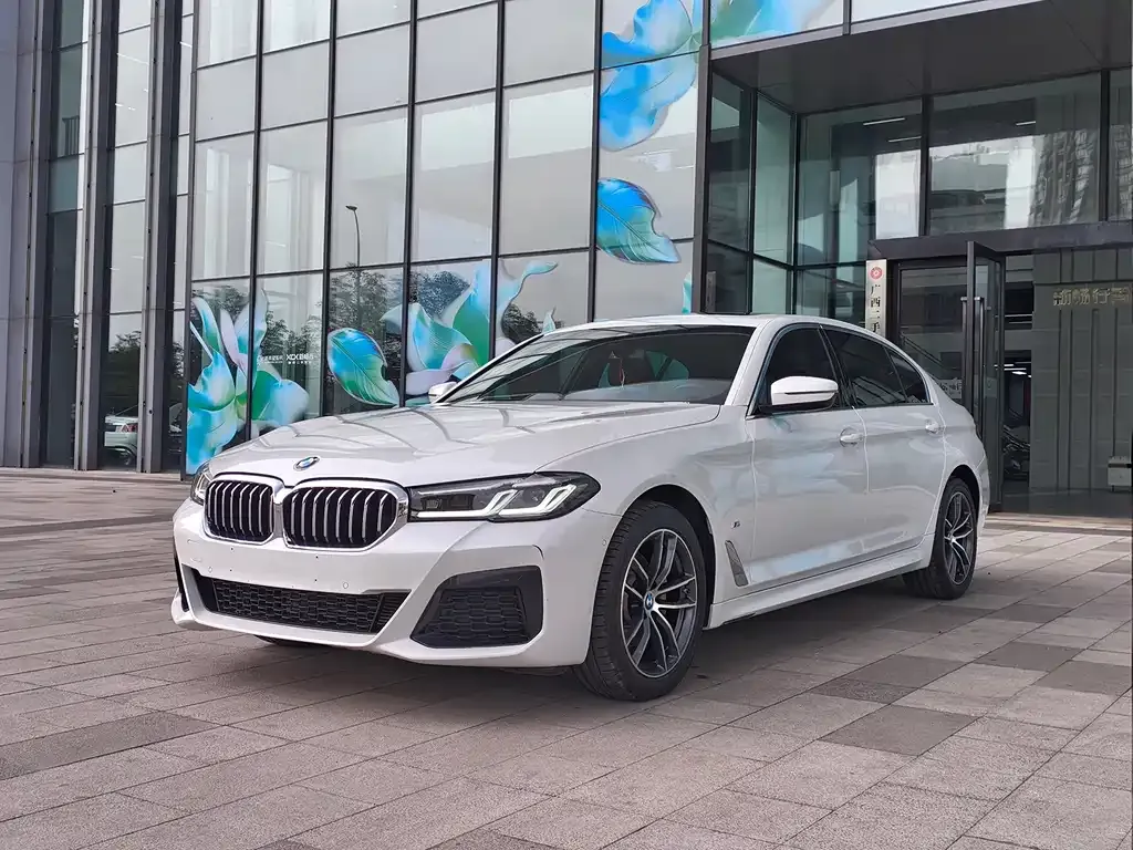 BMW 5 Series 2021 из CN, фото 1