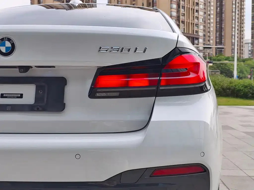 BMW 5 Series 2021 из CN, фото 2