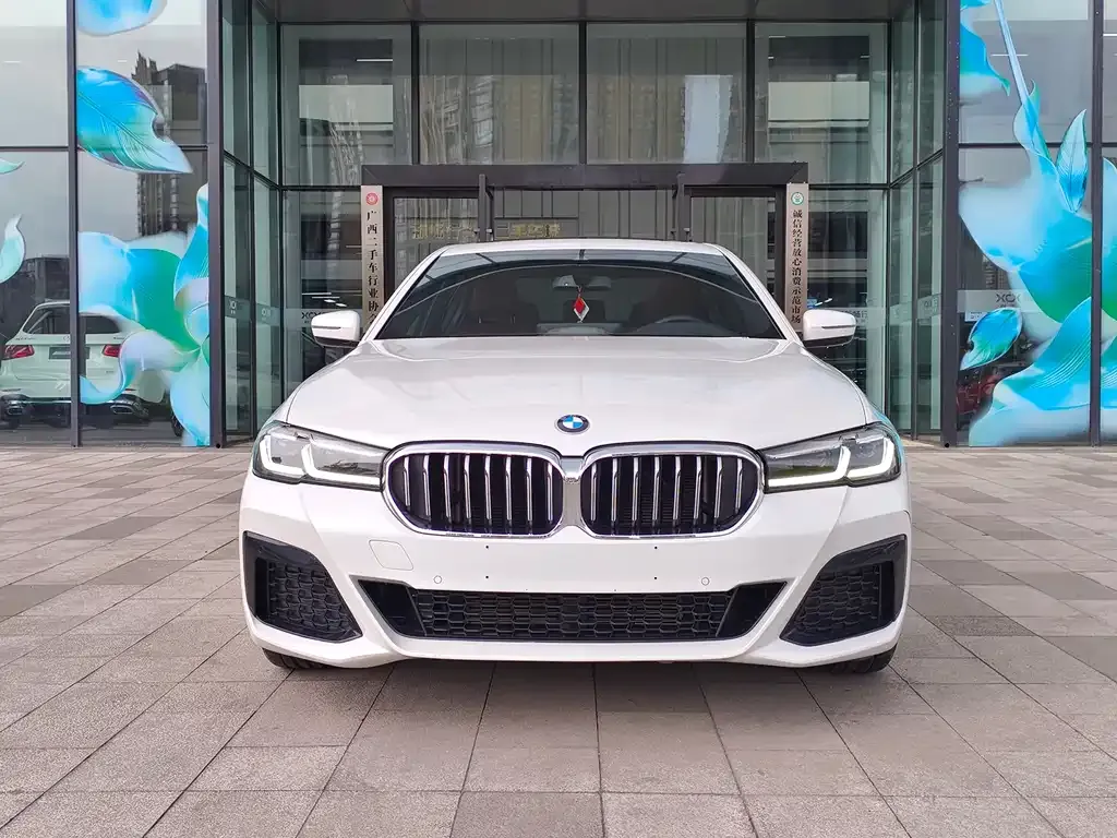 BMW 5 Series 2021 из CN, фото 10