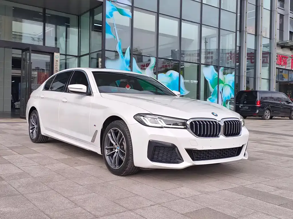 BMW 5 Series 2021 из CN, фото 6