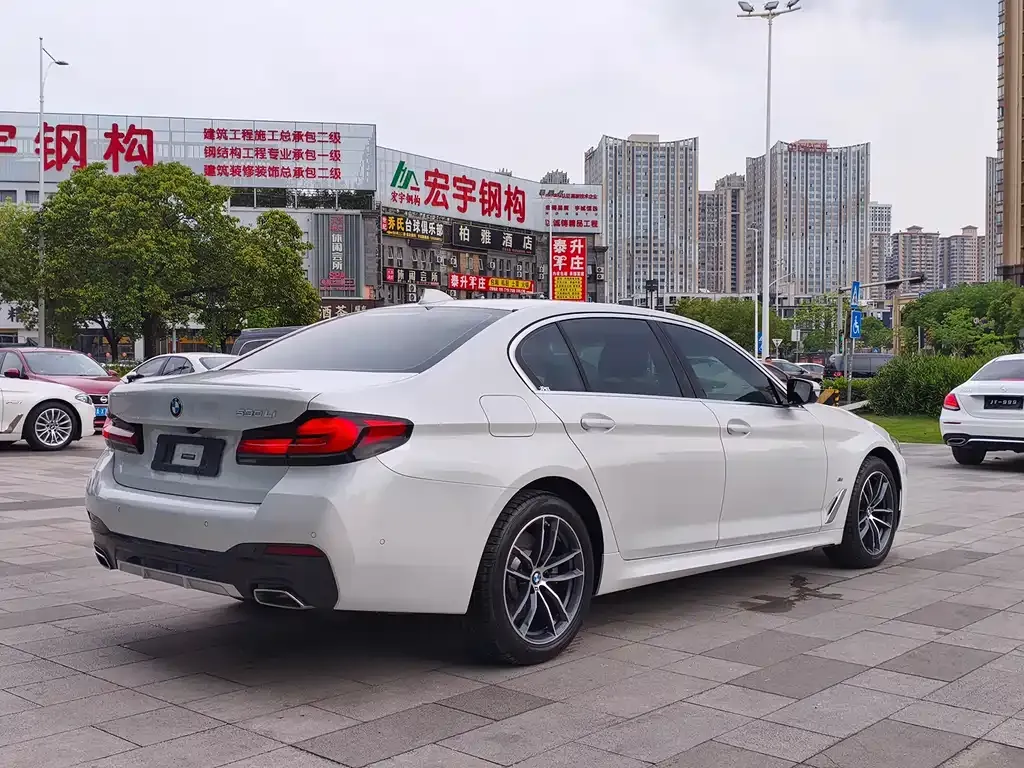BMW 5 Series 2021 из CN, фото 8