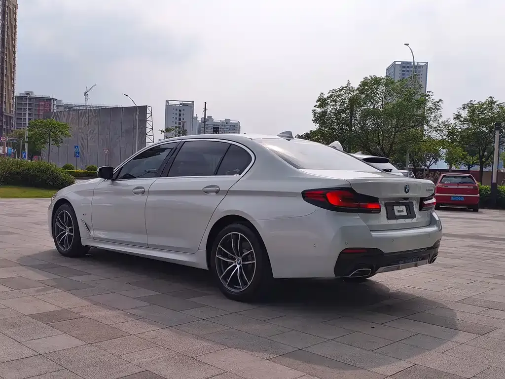 BMW 5 Series 2021 из CN, фото 9