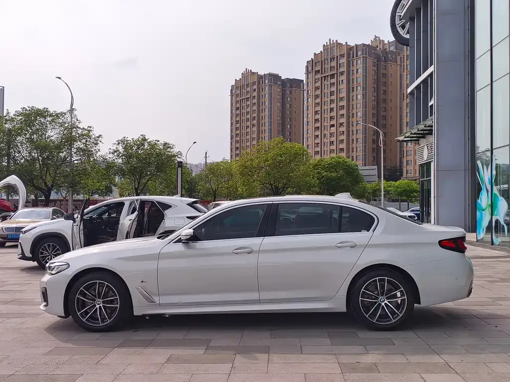 BMW 5 Series 2021 из CN, фото 5